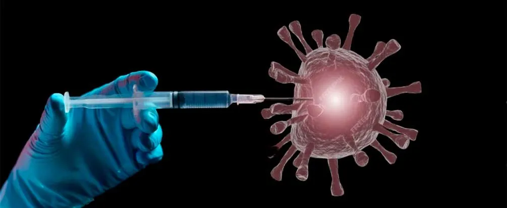 vacunacion abuelos influenza neumococo